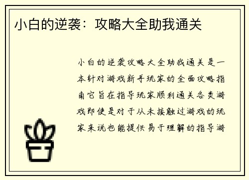 小白的逆袭：攻略大全助我通关