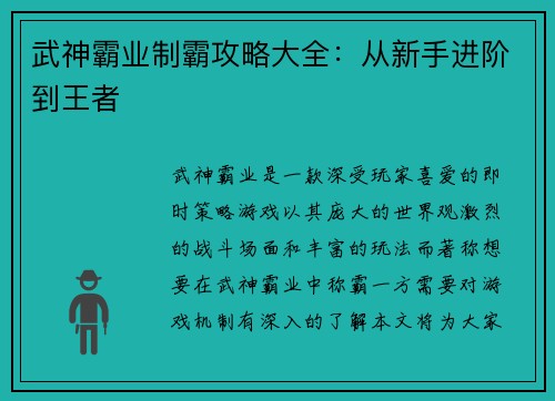 武神霸业制霸攻略大全：从新手进阶到王者